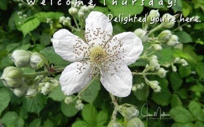 “WELCOME THURSDAY”