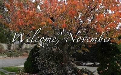 “WELCOME, NOVEMBER”