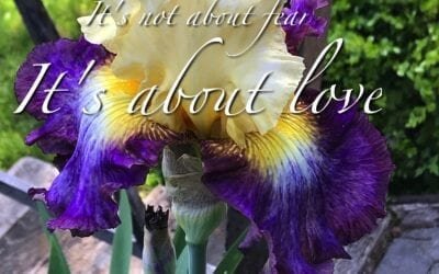 “IT’S ABOUT LOVE”