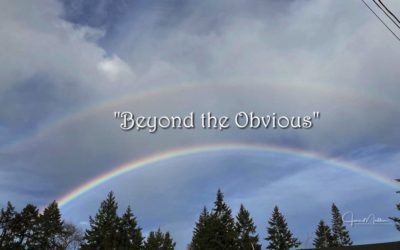 “BEYOND THE OBVIOUS”