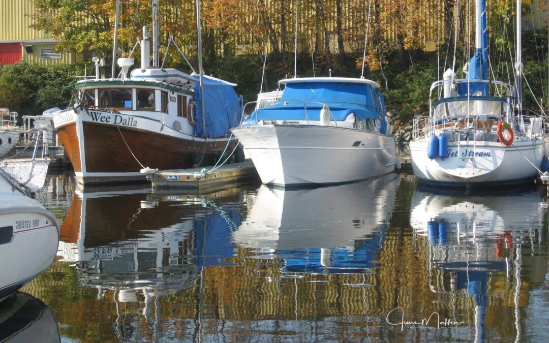 STILLNESS – PEACE