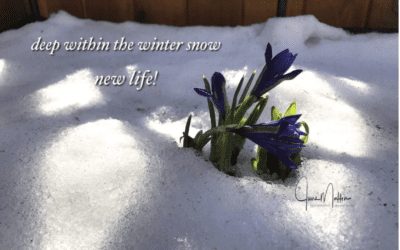 Winter Solstice, Longest Night