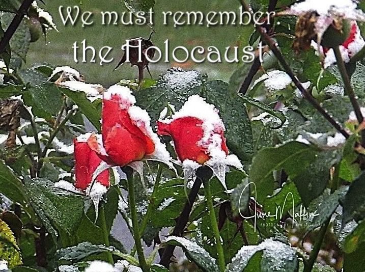 WE MUST REMEMBER THE HOLOCAUST