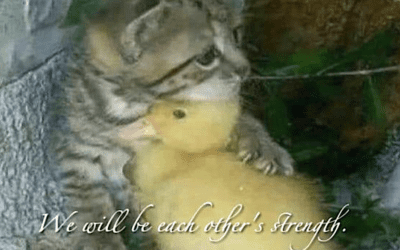 Let’s Be Each Other’s Strength